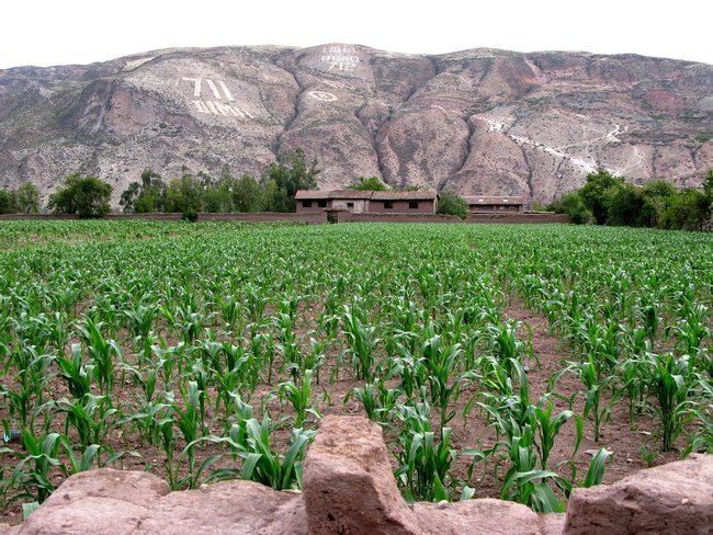 Peru Image