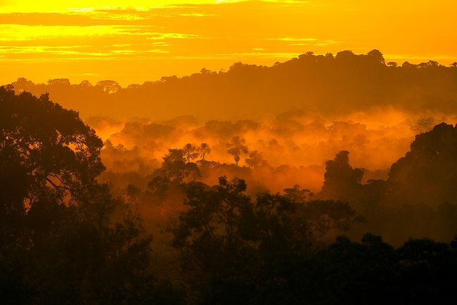 Ecuador Image