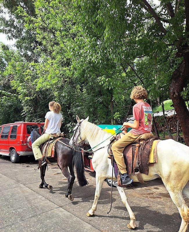 Horseback Tour Experience - Collective Photo