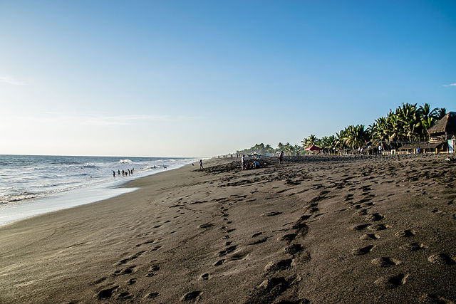 Night Walk On The Beach Photo