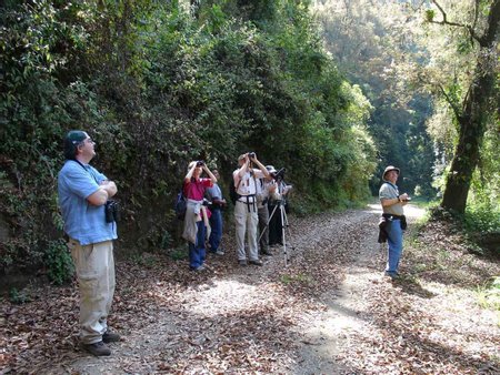 Guatemala Bird Watching Tours Image