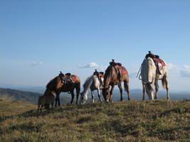 Horseback Riding Tours in Guatemala Image