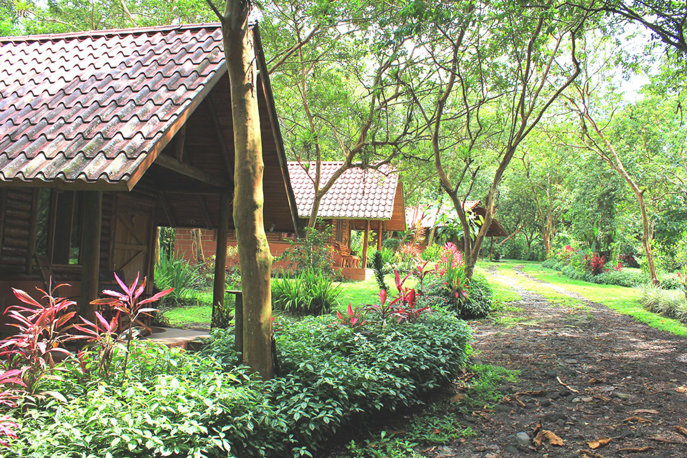 Arenal Oasis Eco Lodge - Arenal, Costa Rica