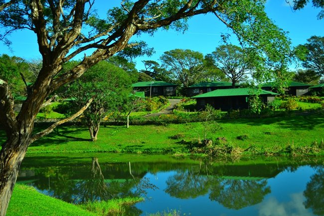 Buena Vista del Rincón Photo