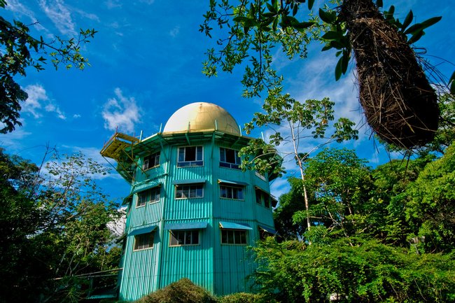 Hotel Canopy Tower Photo