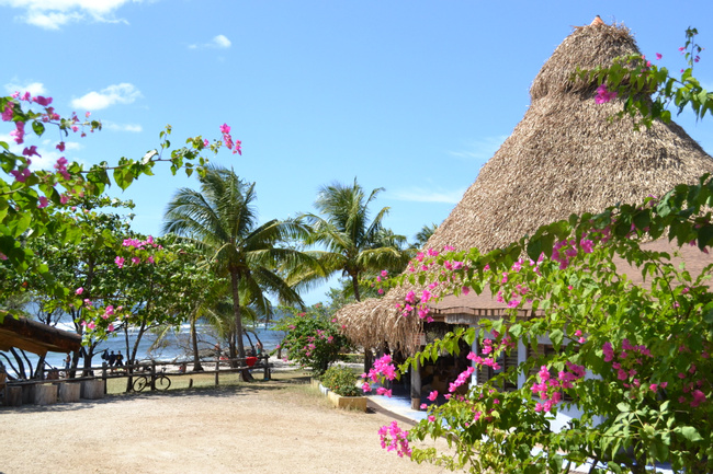 Hotel Playa Negra Photo