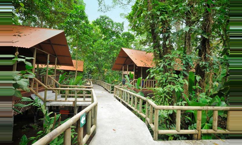 Pachira Lodge - Tortuguero Costa Rica Hotel