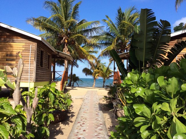 Cabinas Palm Cove Photo