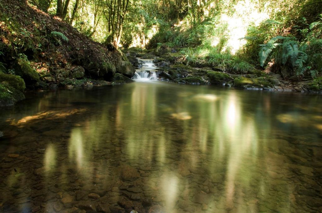 Reserva Natural Ranchitos del Quetzal  Photo