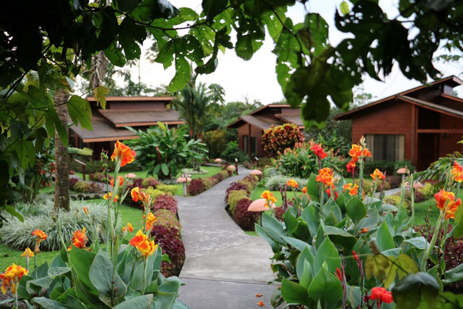 Hotel Silencio del Campo Photo