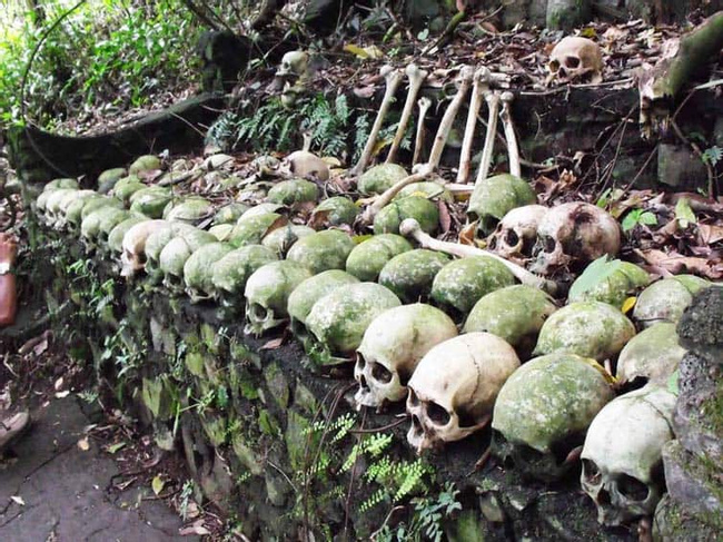 Skulls and Bones Tours Photo