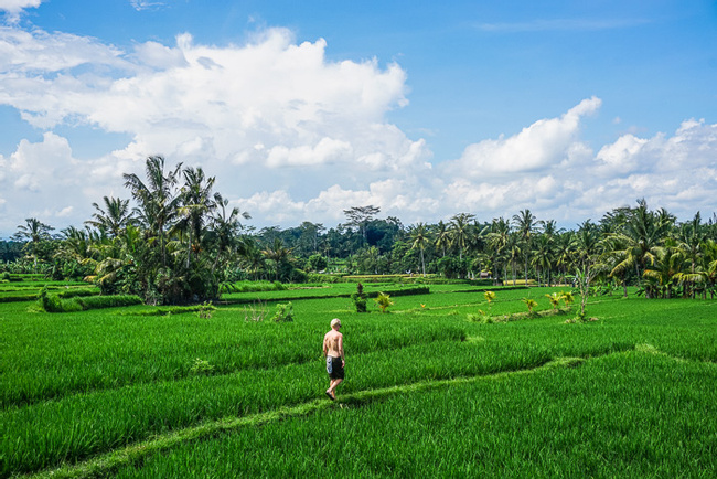 Trekking Hidden Paths Photo