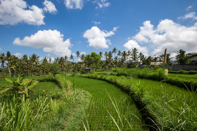 Indonesia Image