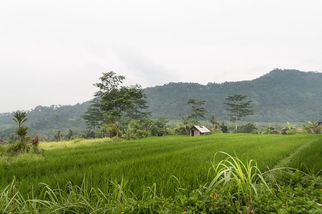 Three Hours of Morning or Afternoon Trekking Photo