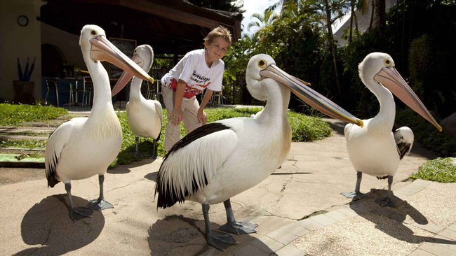 Bali Bird and Reptile Park  Photo