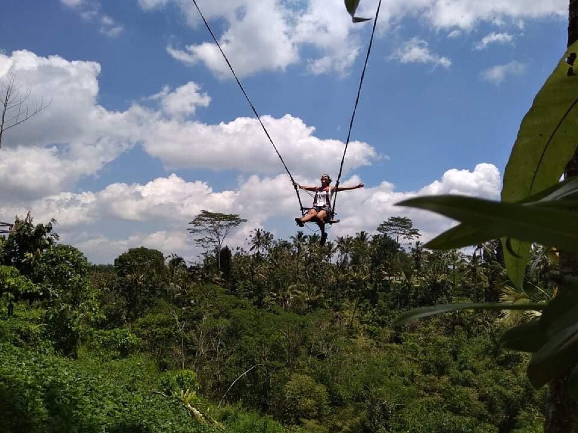 Waterfall, Rice Fields, Giant Swing - Ubud, Indonesia | Anywhere