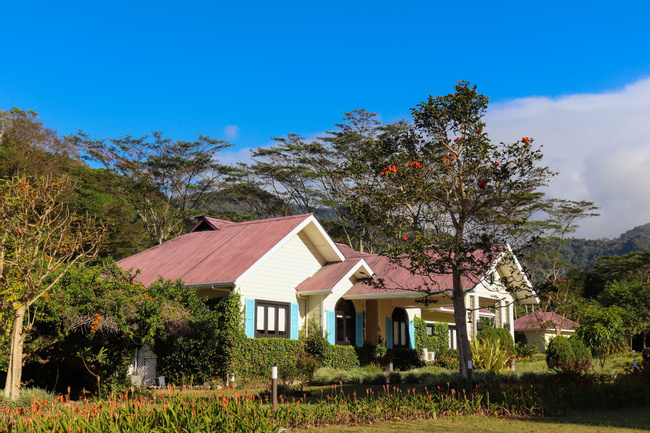 The Riverside Inn Photo