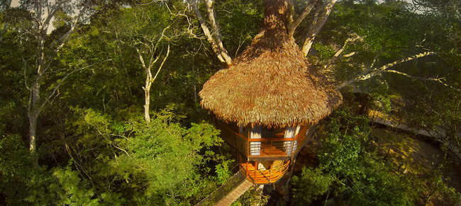 Tree House Lodge Photo