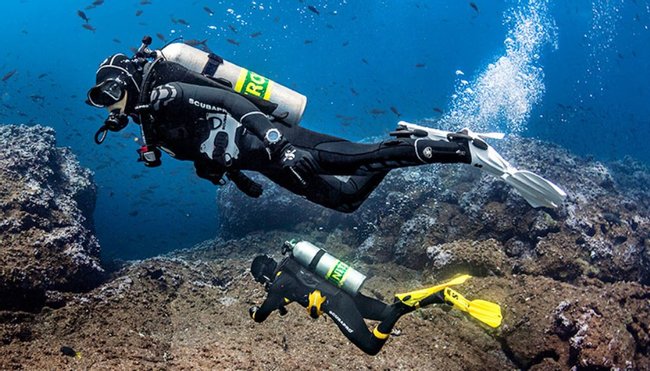 Dives for Certified Divers in Pucusana Photo