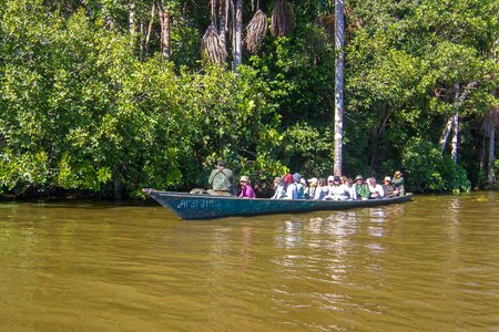 Amazon Basin Image