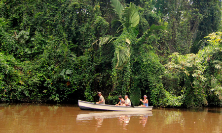 Caribbean Coast Image