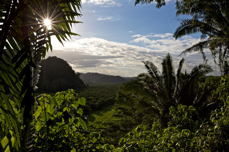 Maya Mountains Image