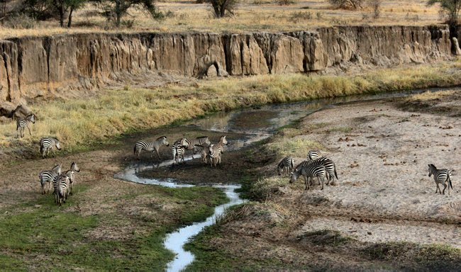 Tanzania Image