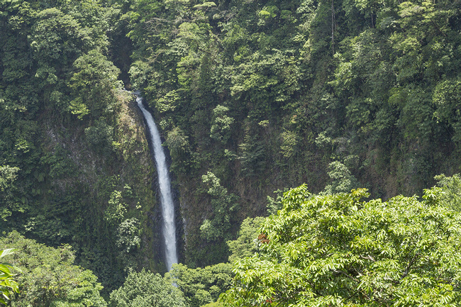 2 in 1 La Fortuna Waterfall and Chocolate Tour Photo