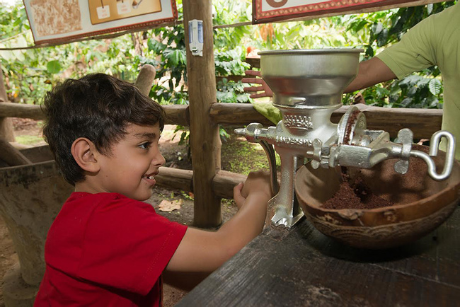 2 in 1 Hanging Bridges and Chocolate Tour Photo