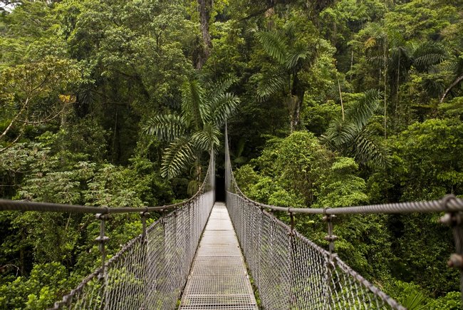 Tour 2 en 1 de Puentes Colgantes y Catarata de La Fortuna Photo