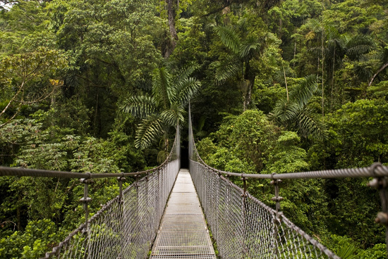 2 in 1 Hanging Bridges and La Fortuna Waterfall Photo