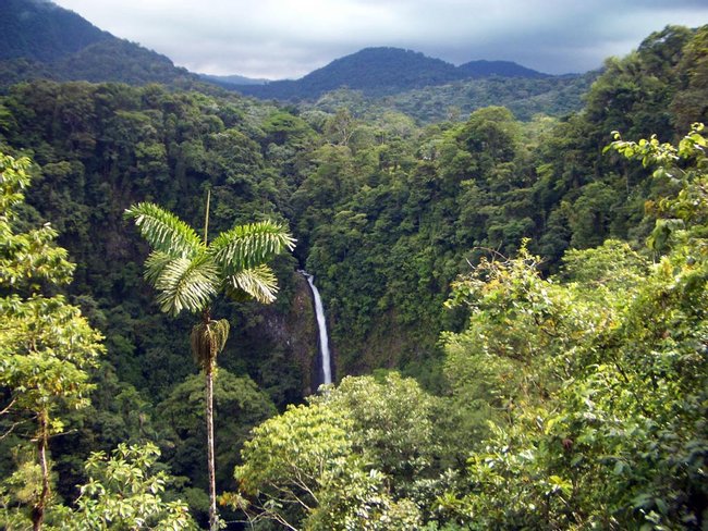 Tour 2 en 1 Catarata La Fortuna y Caminata por el Volcán Photo