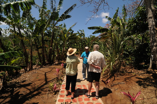 Espiritu Santo Coffee Tour Photo