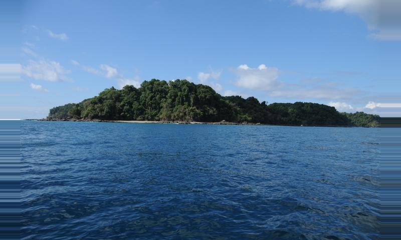 Caño Island Biological Reserve Day Tour - Uvita