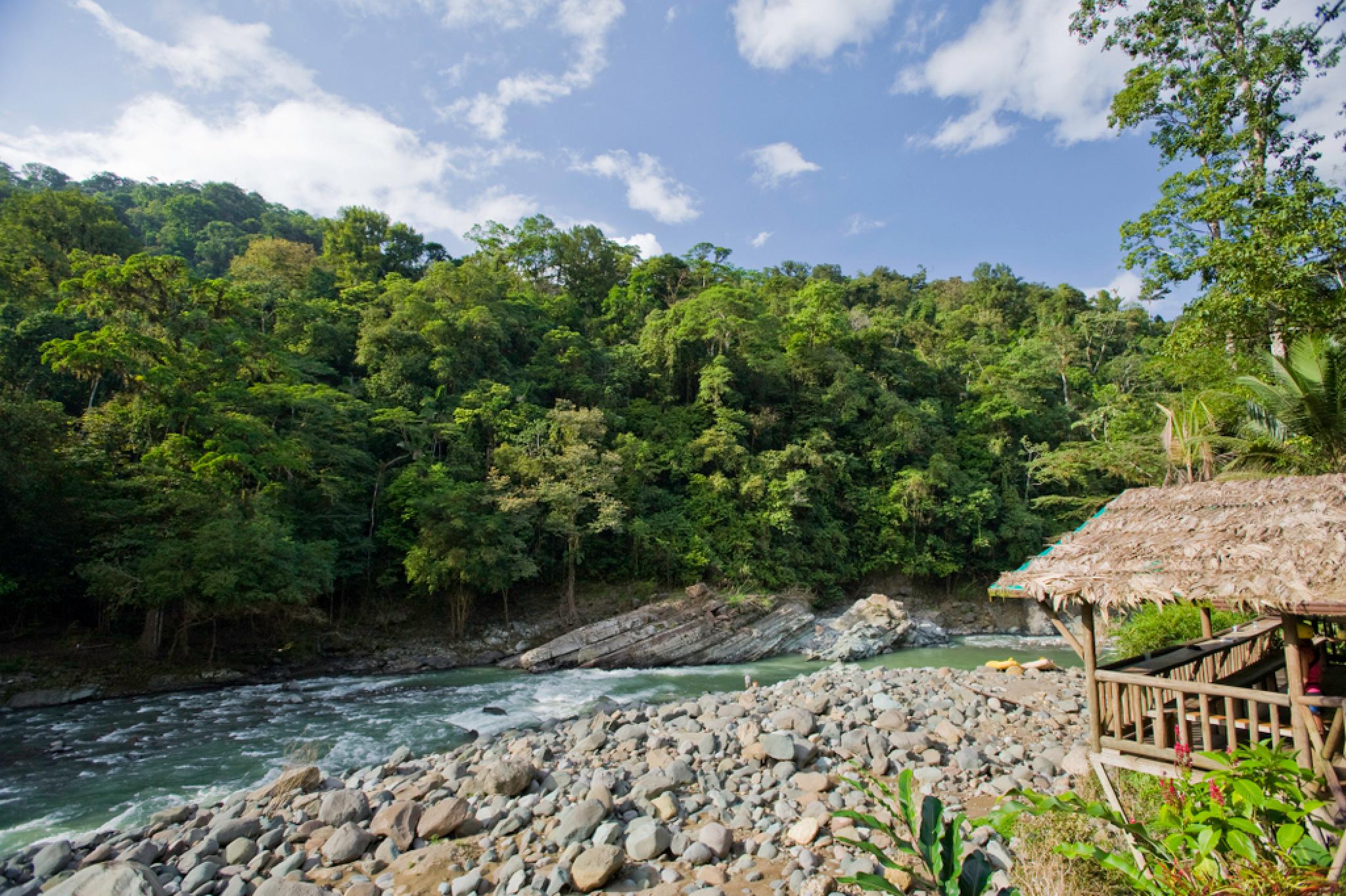 Pacuare River Rafting Four Day Trip - San Jose