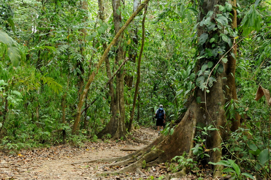 Hiking Tour Corcovado National Park San Pedrillo Station Photo