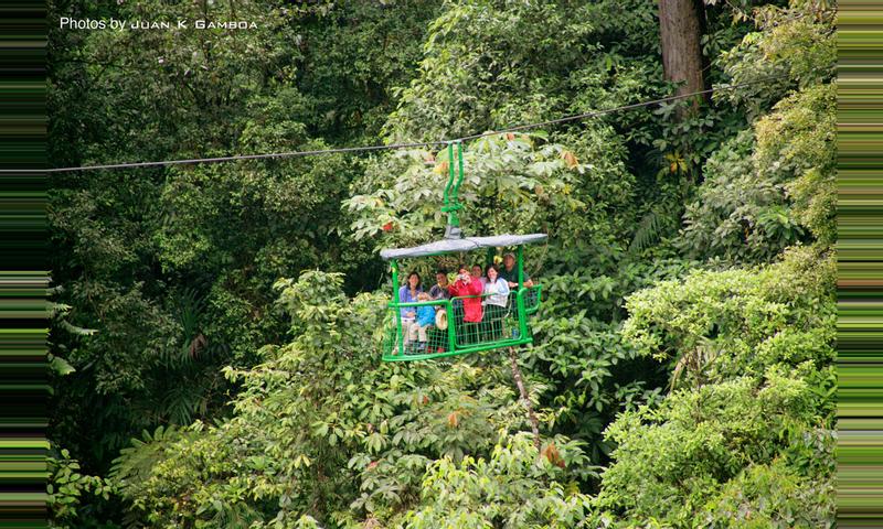 Costa Rica Tours: Rain Forest Aerial Tram - Guapiles