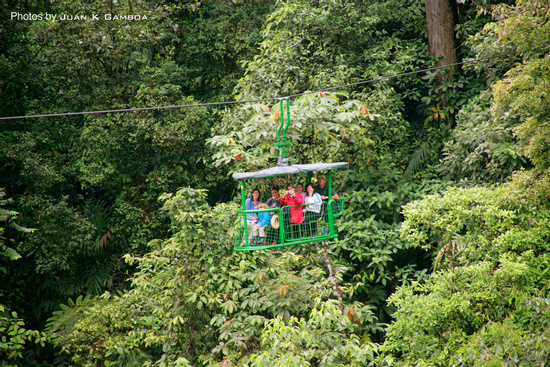 Rain Forest Atlantic Aerial Tram  Photo