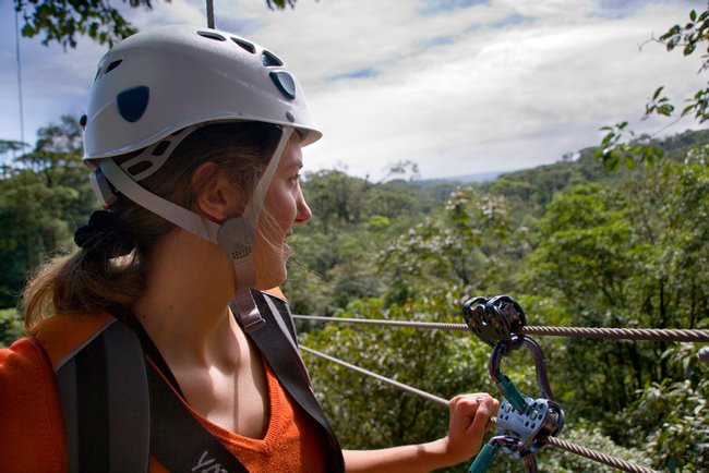 Tour de canopy Rain Forest Photo