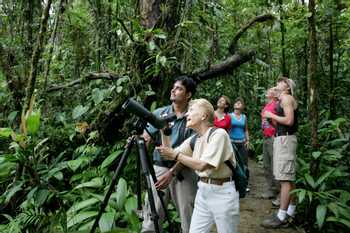 Rain Forest Birding Tour