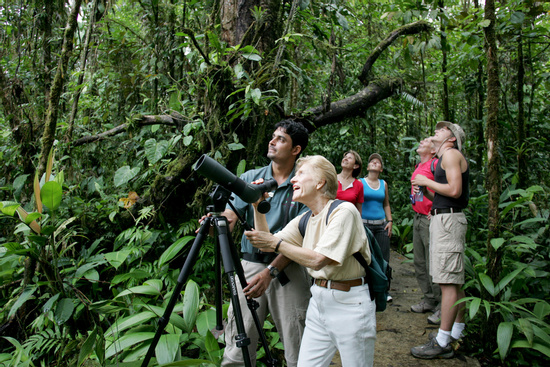 Rain Forest Atlantic Bird Watching Tour Photo