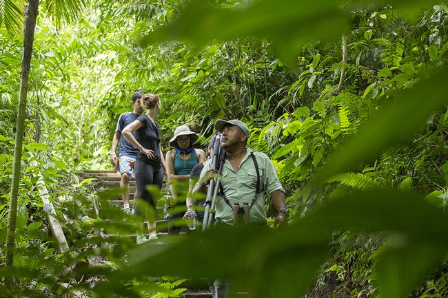 Tour 3 en 1 Puentes colgantes, catarata La Fortuna y chocolate Photo