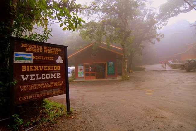 Visita guiada al bosque nuboso de Monteverde Photo