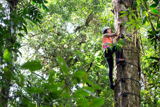 Arboreal Tree Climbing Tour Photo