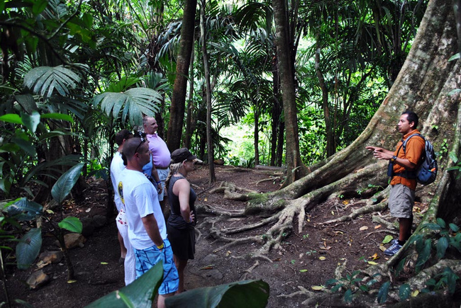 2 in 1 Volcano Hike and Tabacon Hot Springs Photo