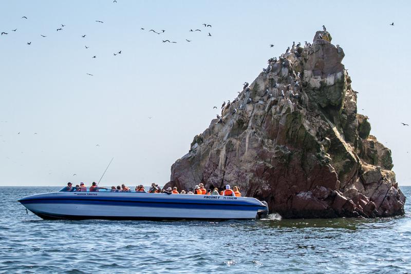 Ballestas Islands Boat Excursion Pisco Peru