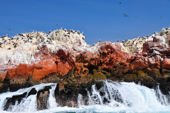 Ballestas Islands Boat Excursion Photo