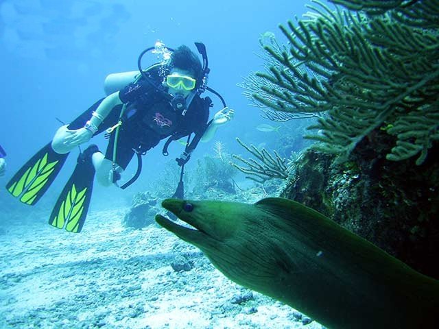 Buceo en el Sistema de Barreras del Arrecife de Belice Photo