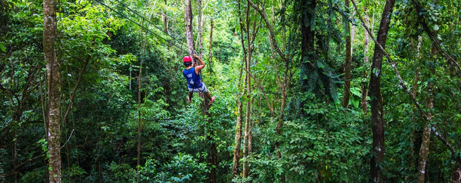 Bastimentos Sky Zip-Line Canopy Tour Photo