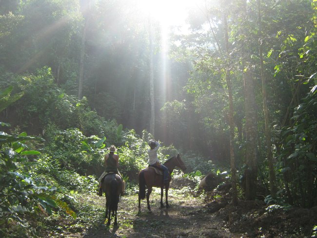 Cabalgata de Aventura en la Jungla y Spa Photo